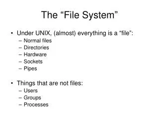 The “File System”