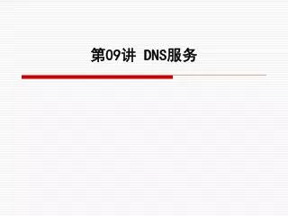 第 09 讲 DNS 服务