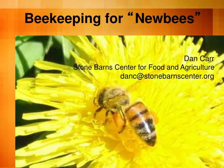 beekeeping for newbees