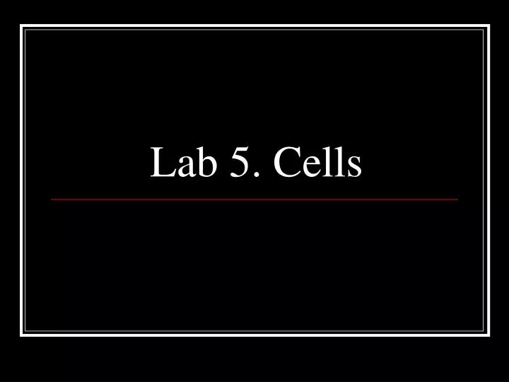 lab 5 cells