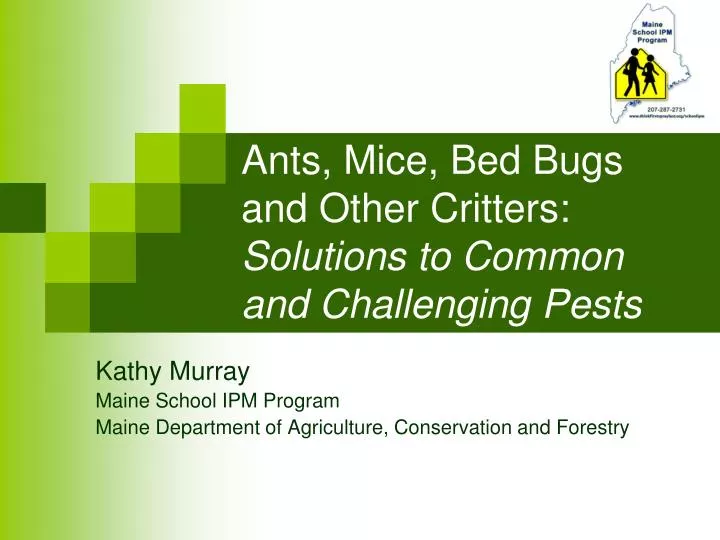 ants mice bed bugs and other critters solutions to common and challenging pests