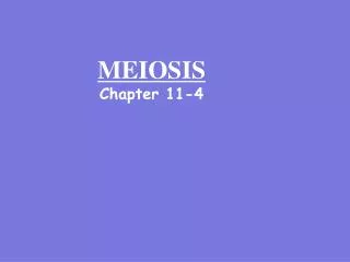MEIOSIS Chapter 11-4