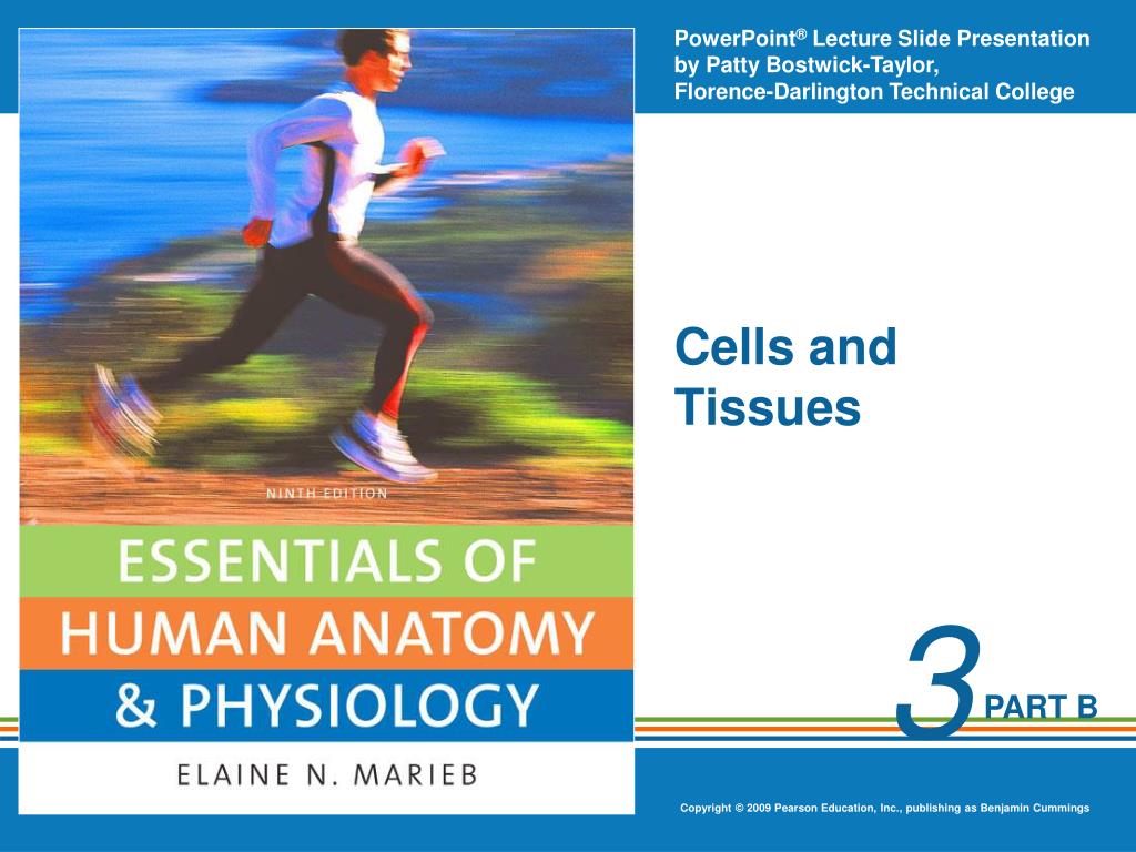 PPT - Cells and Tissues PowerPoint Presentation, free download - ID:5784343