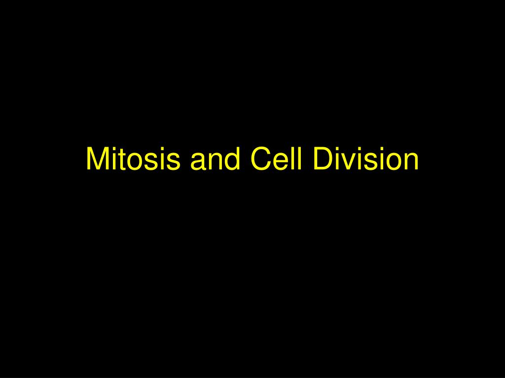 PPT - Mitosis and Cell Division PowerPoint Presentation, free download ...
