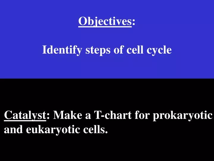 objectives identify steps of cell cycle