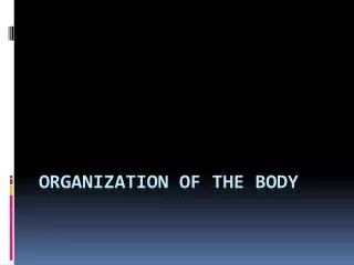 ORGANIZATION OF THE BODY