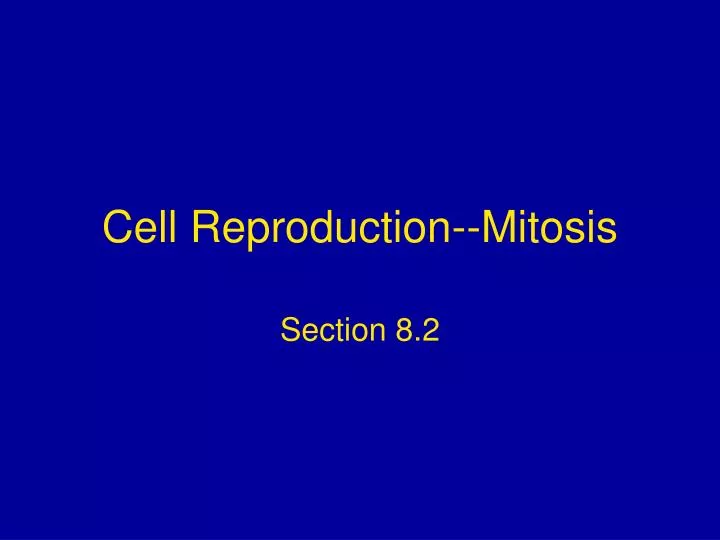 cell reproduction mitosis