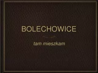bolechowice