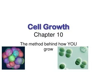 Cell Growth Chapter 10