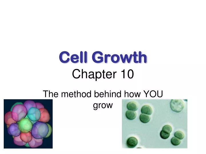 cell growth chapter 10