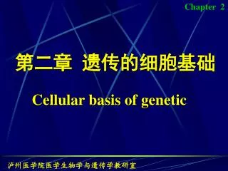 第二章 遗传的细胞基础