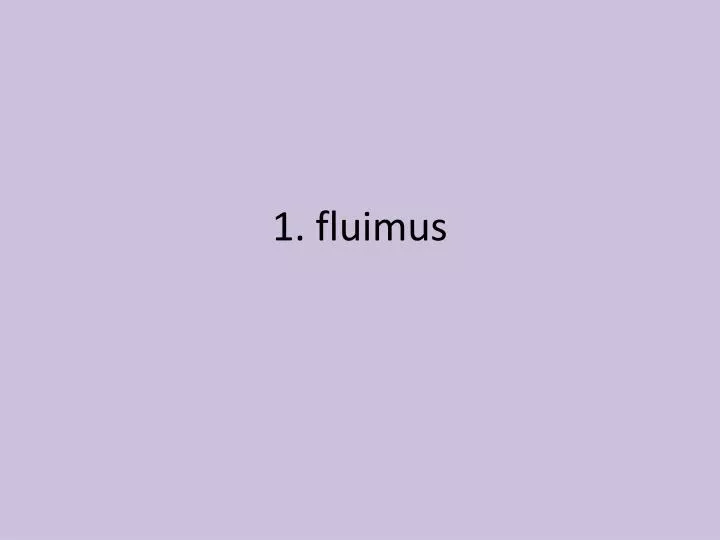 1 fluimus
