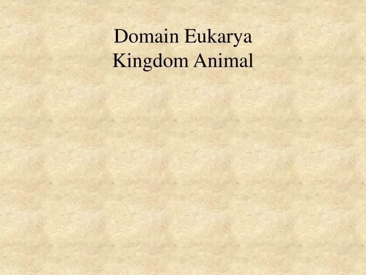 domain eukarya kingdom animal
