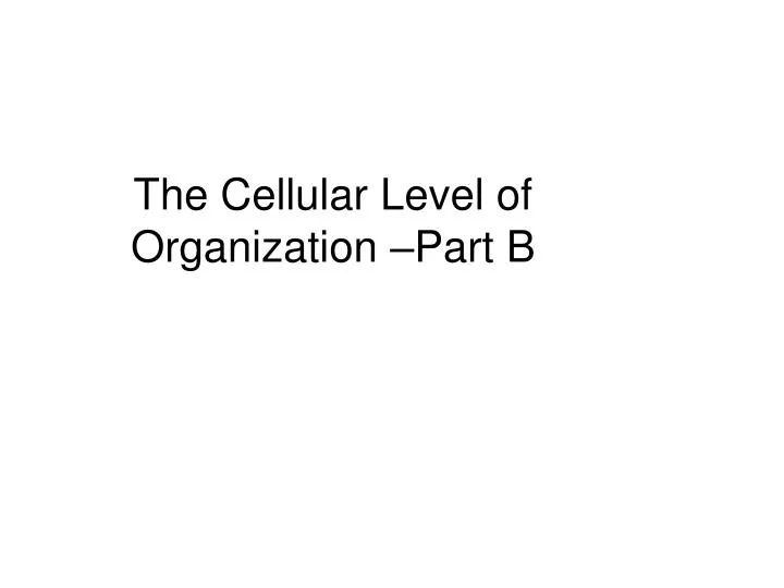 the cellular level of organization part b