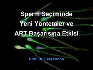 Sperm Seçiminde Yeni Yöntemler ve ART Başarısına Etkisi
