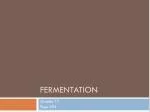 PPT - Fermentation Of Yogurt PowerPoint Presentation, Free Download ...