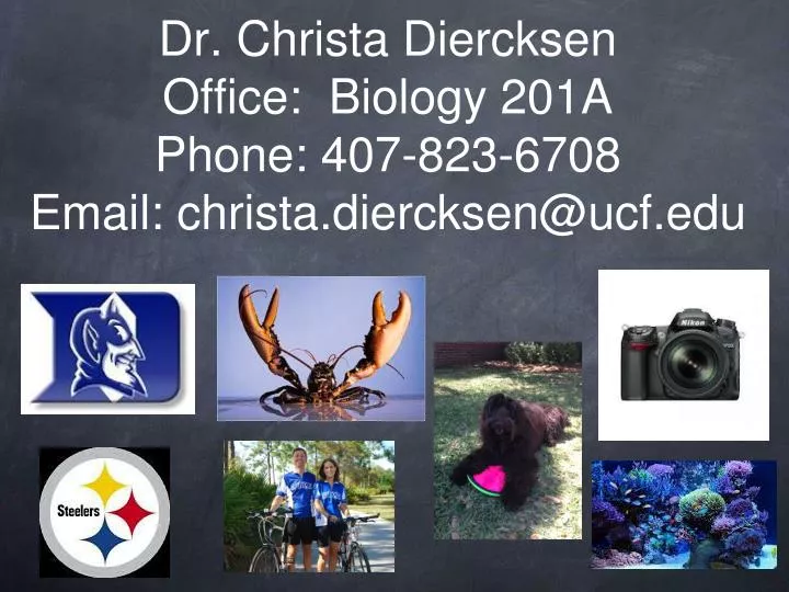 dr christa diercksen office biology 201a phone 407 823 6708 email christa diercksen@ucf edu