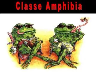Classe Amphibia