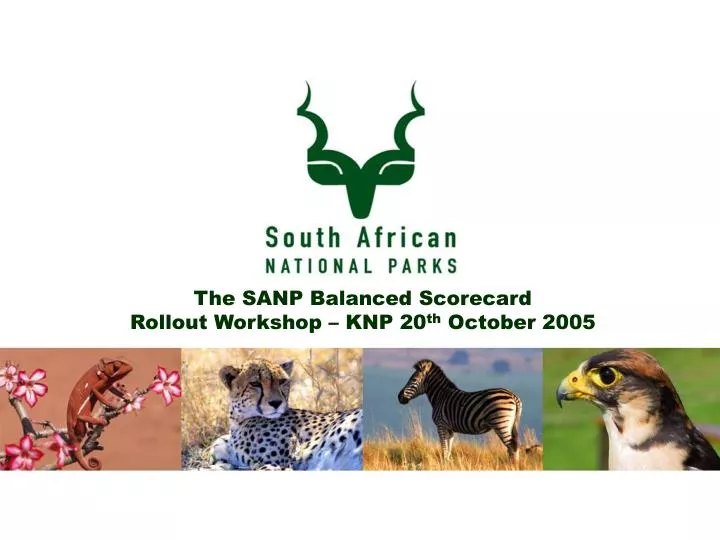the sanp balanced scorecard rollout workshop knp 20 th october 2005