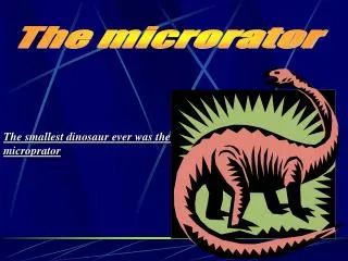 The smallest dinosaur ever was the microprator