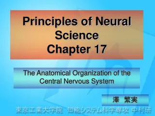 Principles of Neural Science Chapter 17