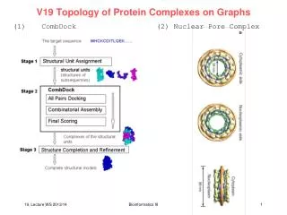 V19 Topology of Protein Complexes on Graphs