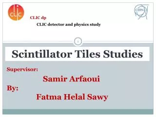 Supervisor : Samir Arfaoui By: Fatma Helal Sawy
