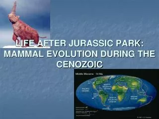 LIFE AFTER JURASSIC PARK: MAMMAL EVOLUTION DURING THE CENOZOIC