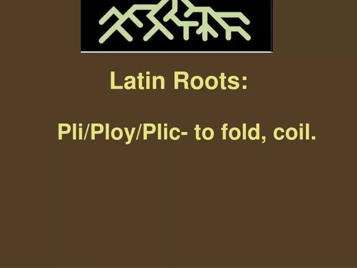 latin roots pli ploy plic to fold coil