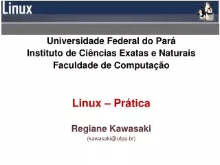 Universidade Federal do Pará Instituto de Ciências Exatas e Naturais Faculdade de Computação