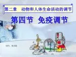 第四节 免疫调节 - slide 1
