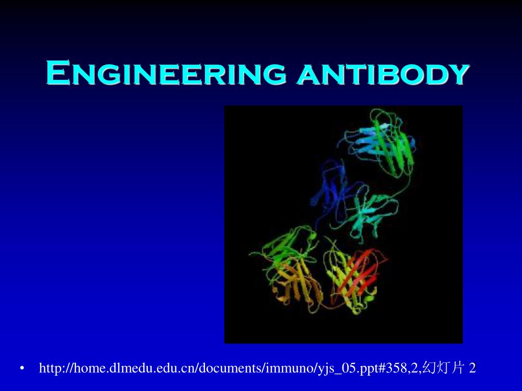 PPT - Engineering antibody PowerPoint Presentation, free download - ID ...