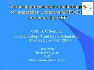 Financing provisions for technologies for adaptation under the UNFCCC: the role of the GEF
