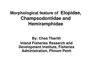 Morphological feature of Elopidae, Champsodontidae and Hemiramphidae