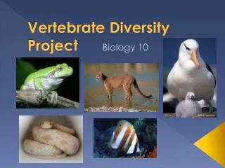 Vertebrate Diversity Project