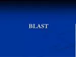 BLAST - slide 1