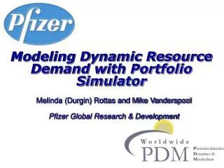 Modeling Dynamic Resource Demand with Portfolio Simulator