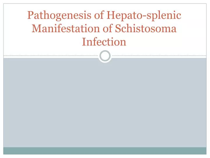 pathogenesis of hepato splenic manifestation of schistosoma infection