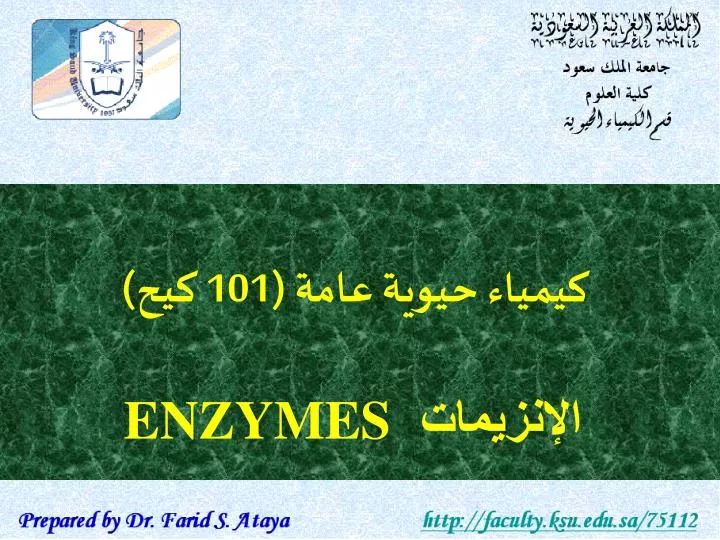 101 enzymes