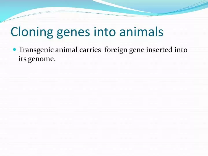 cloning genes into animals