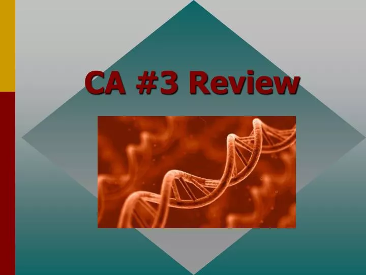 ca 3 review