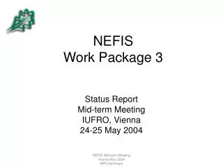 NEFIS Work Package 3