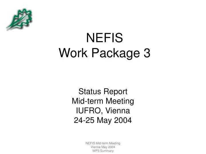 nefis work package 3