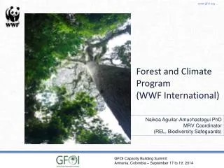 Forest and Climate Program (WWF International)