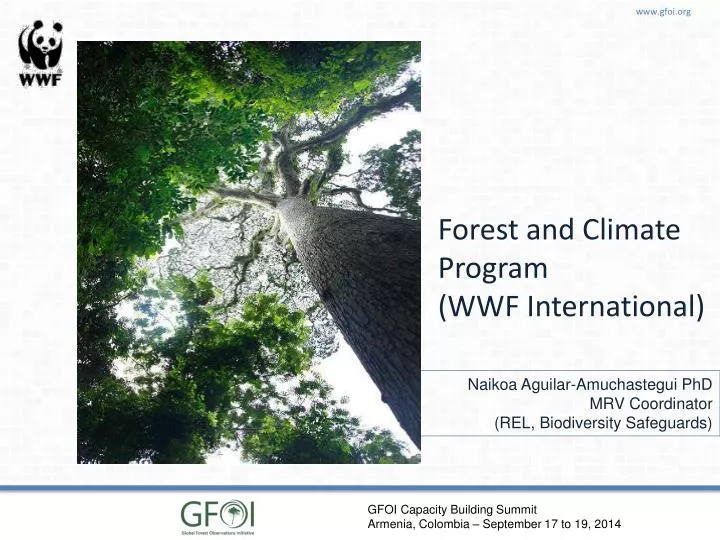 forest and climate program wwf international