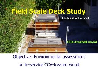 Field Scale Deck Study