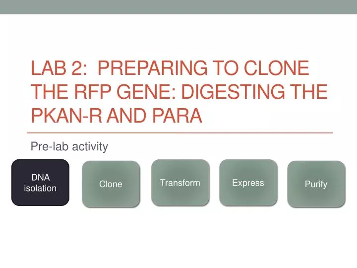 lab 2 preparing to clone the rfp gene digesting the pkan r and para