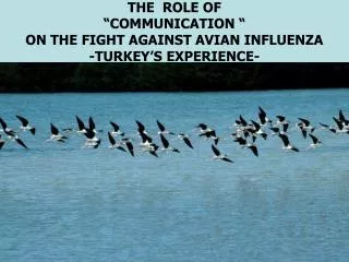 THE ROLE OF “COMMUNICATION “ ON THE FIGHT AGAINST A V I AN INFLUENZA -TURKEY ’S EXPERIENCE-