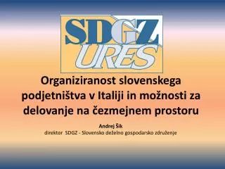organiziranost slovenskega podjetni tva v italiji in mo nosti za delovanje na ezmejnem prostoru