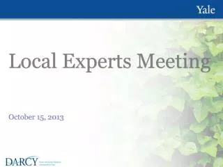 Local Experts Meeting
